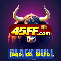 jogo do bicho crash bingo